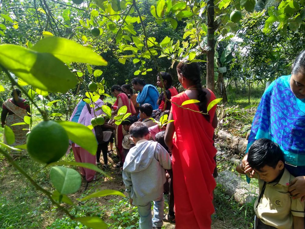 Children of all ages learning together at Mango Woods School