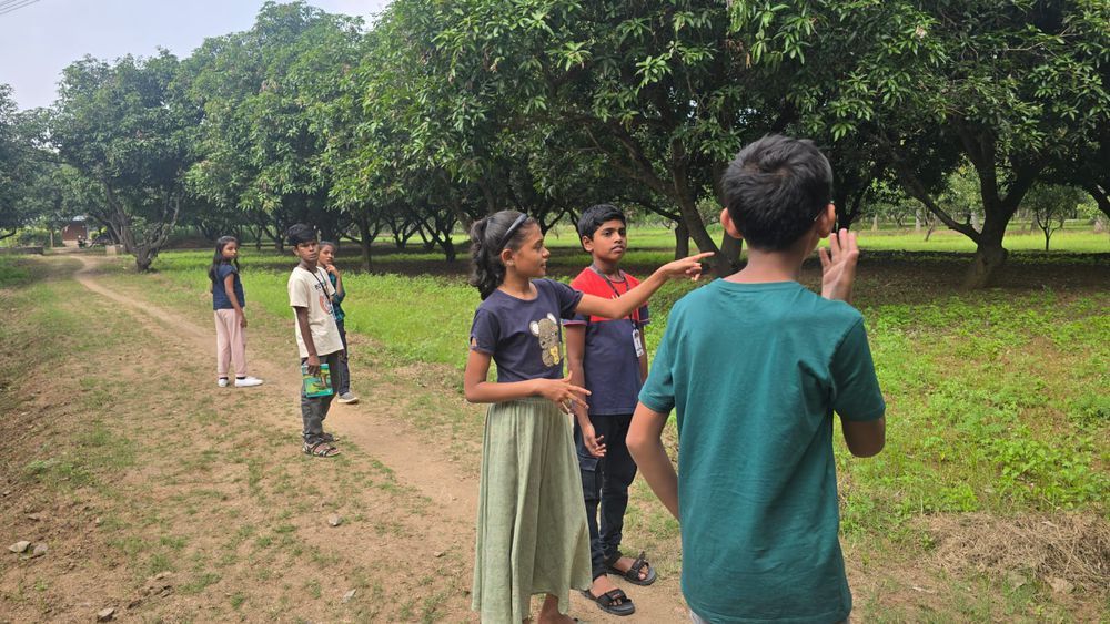 Children of all ages learning together at Mango Woods School