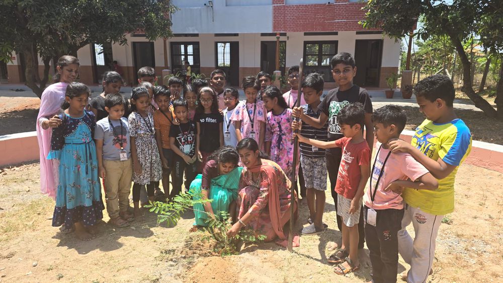Children of all ages learning together at Mango Woods School
