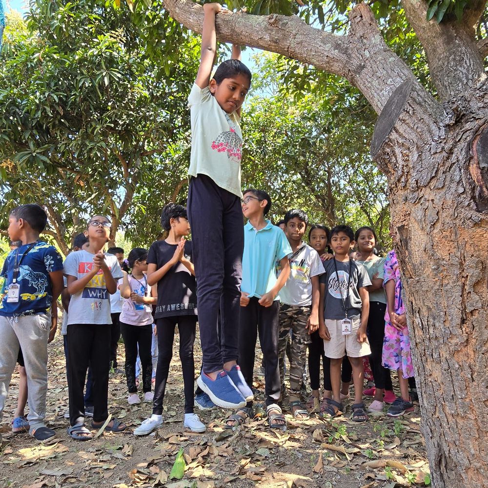 Children of all ages learning together at Mango Woods School