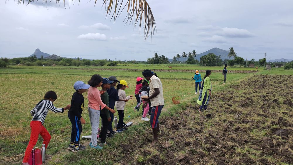 Children of all ages learning together at Mango Woods School