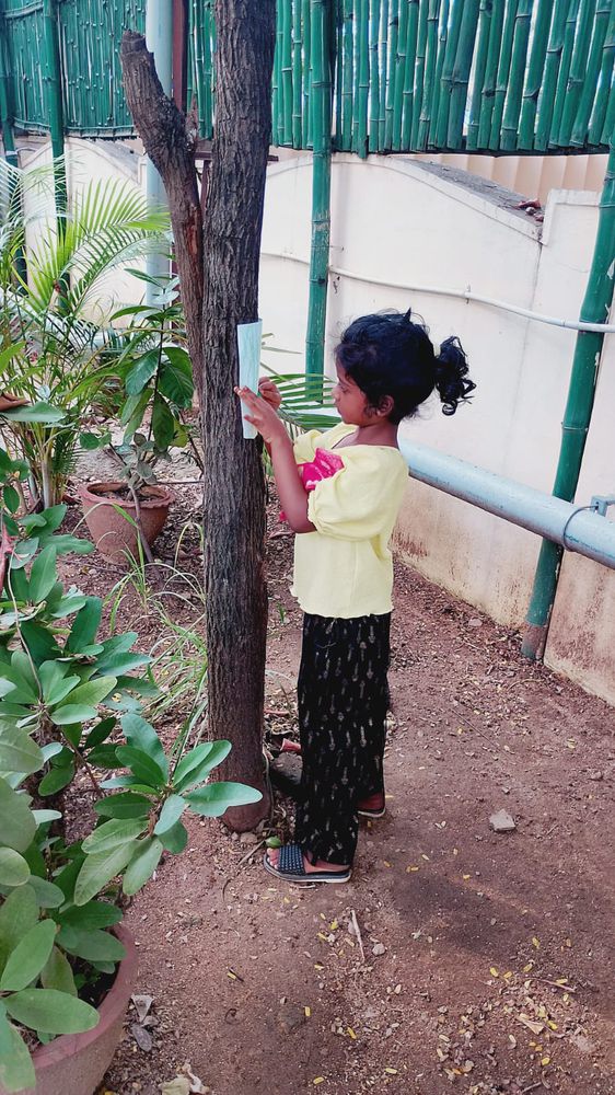 Children of all ages learning together at Mango Woods School