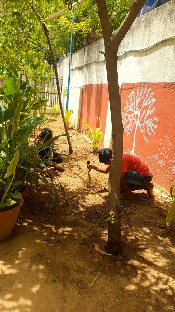 Children of all ages learning together at Mango Woods School