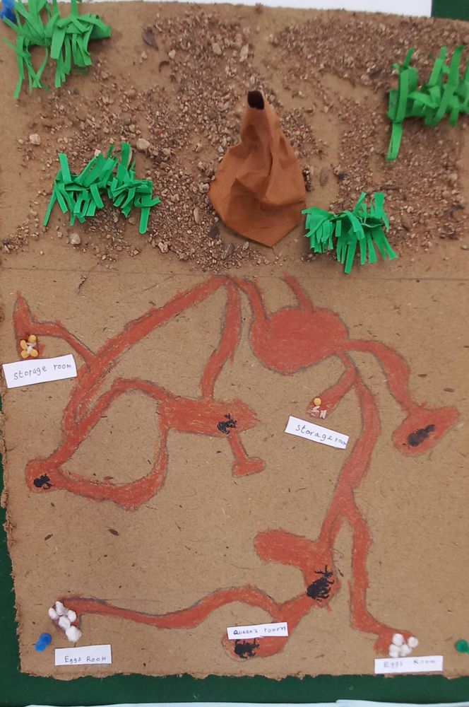 Children of all ages learning together at Mango Woods School