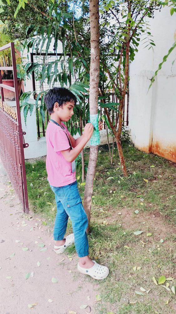 Children of all ages learning together at Mango Woods School