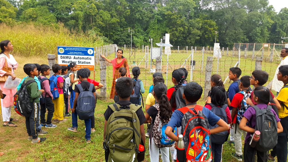 Children of all ages learning together at Mango Woods School
