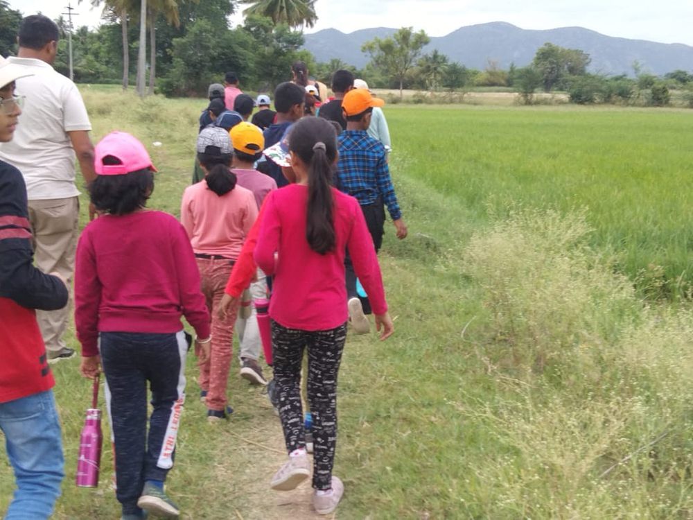 Children of all ages learning together at Mango Woods School