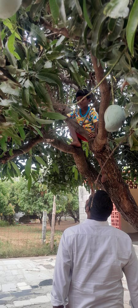 Children of all ages learning together at Mango Woods School