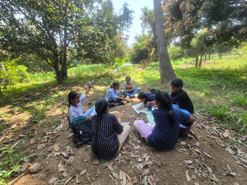 Children of all ages learning together at Mango Woods School