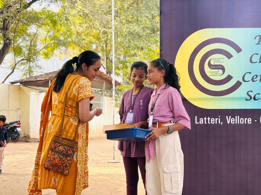 Children of all ages learning together at Mango Woods School