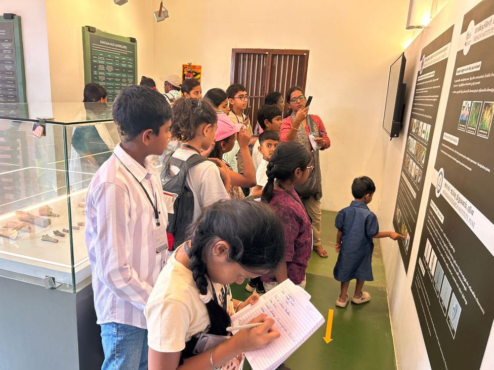 Children of all ages learning together at Mango Woods School
