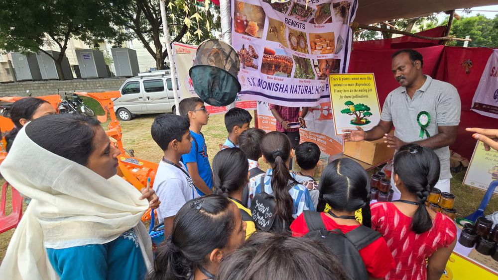 Children of all ages learning together at Mango Woods School