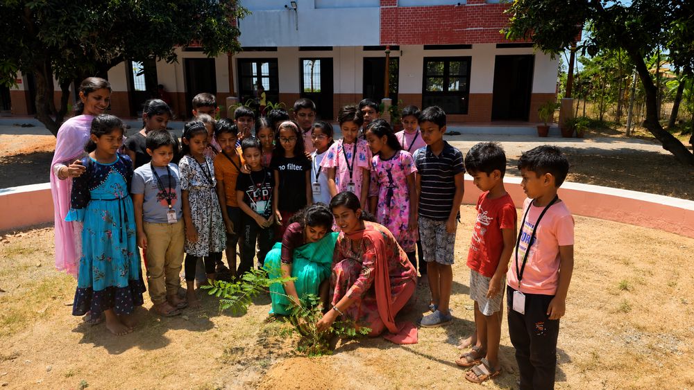 Children of all ages learning together at Mango Woods School