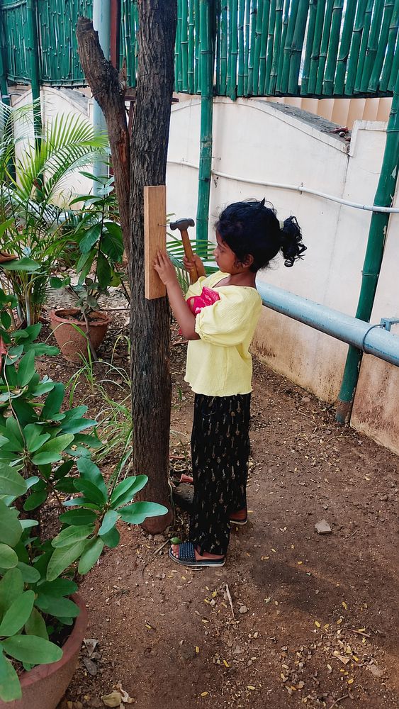 Children of all ages learning together at Mango Woods School