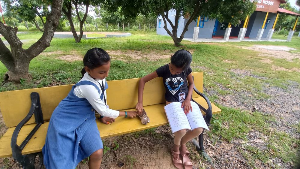 Inside the learning spaces at Mango Woods School