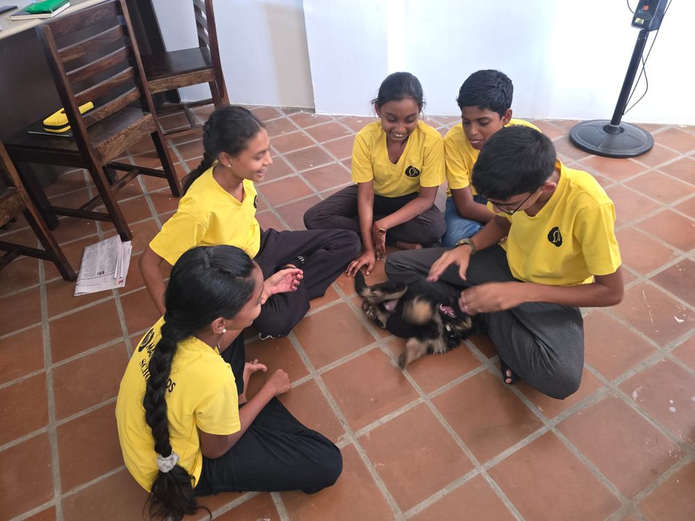Inside the learning spaces at Mango Woods School