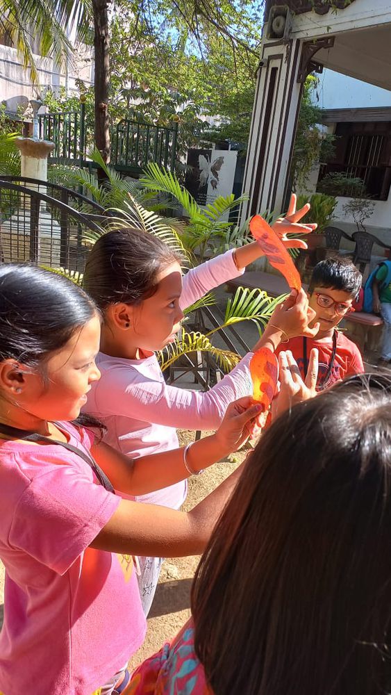 Inside the learning spaces at Mango Woods School
