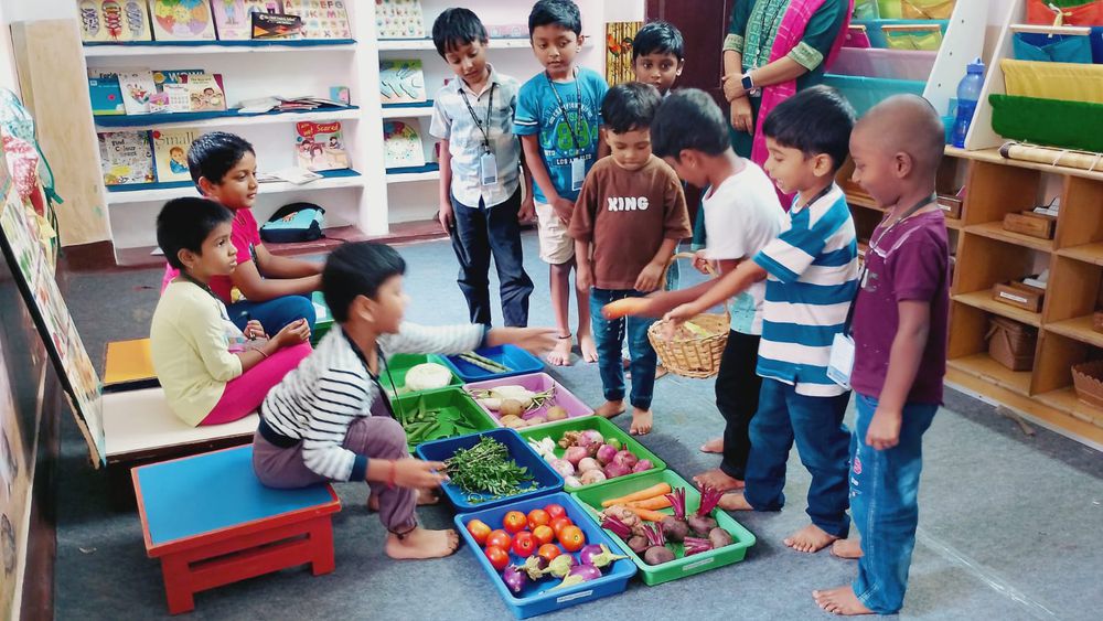 Inside the learning spaces at Mango Woods School