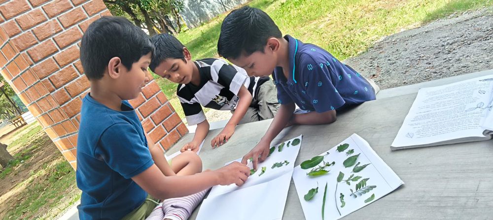 Inside the learning spaces at Mango Woods School