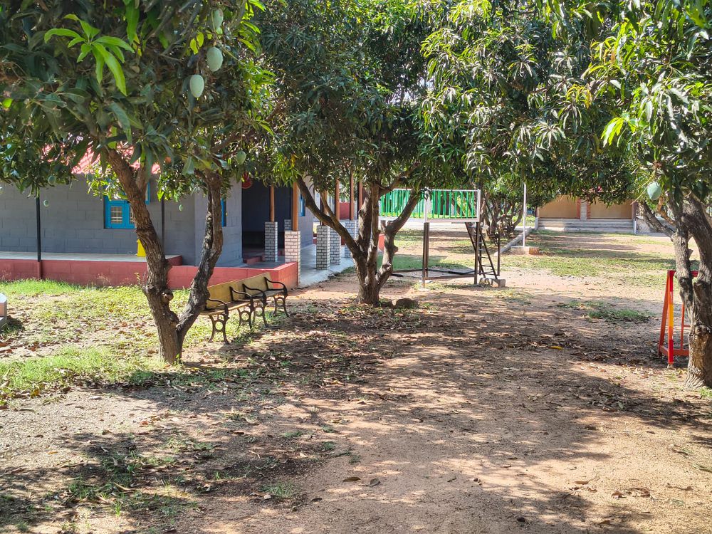 Inside the learning spaces at Mango Woods School